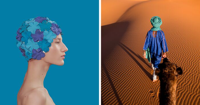 The Winners Of The AAP Magazine Photography Contest “Colors” (25 Pics)