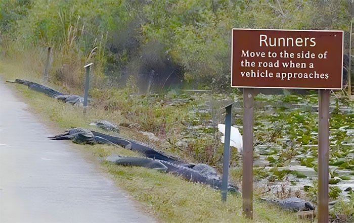 Perfect Before Disaster “Photos Taken Before Disaster”: 45 Pics That Foreshadow Unfortunate ...