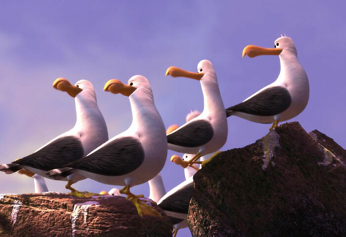 Finding Nemo seagulls