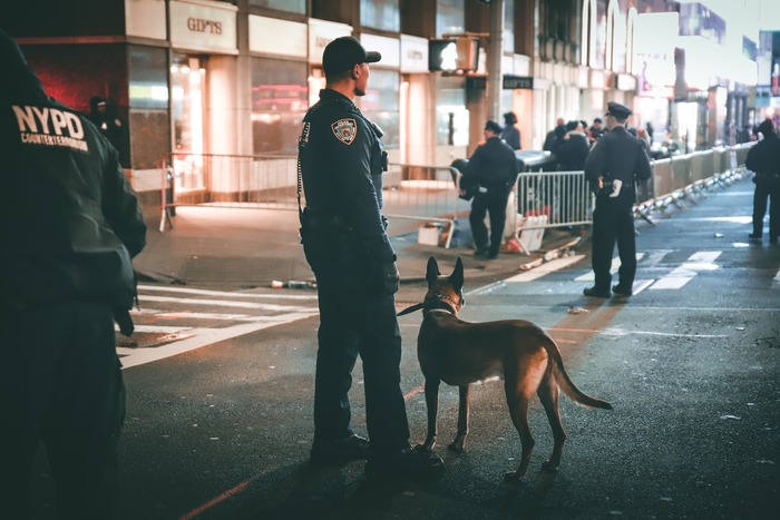 NYPD dog in the street near policeman