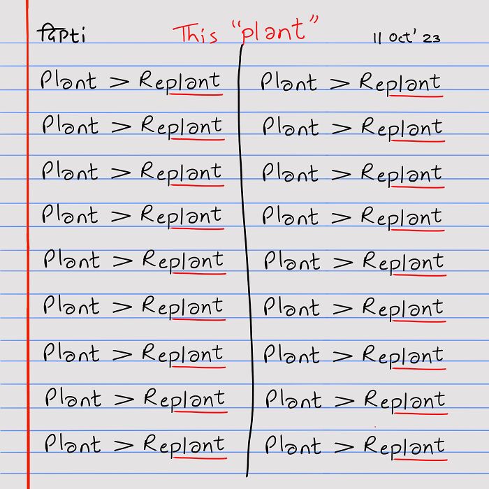 Plant > Replant