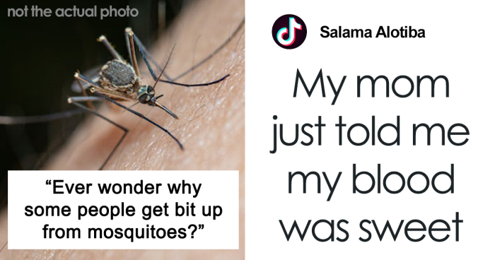 Dermatologist Explains What People Are ‘Mosquito Magnets’ And How To Avoid The Annoying Bugs