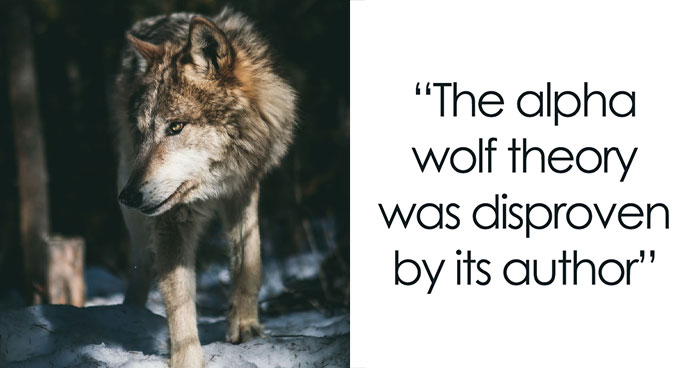 29 Solid Facts That Some People Flat-Out Refuse To Accept