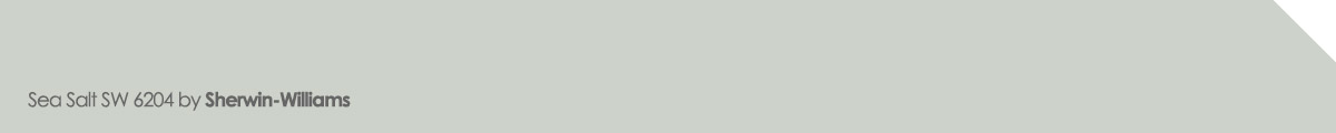 Sea Salt SW 6204 paint color sample by Sherwin-Williams, a popular 2024 paint color option beyond gray. Sea Salt SW 6204 paint color sample by Sherwin-Williams, a popular 2024 paint color option beyond gray.