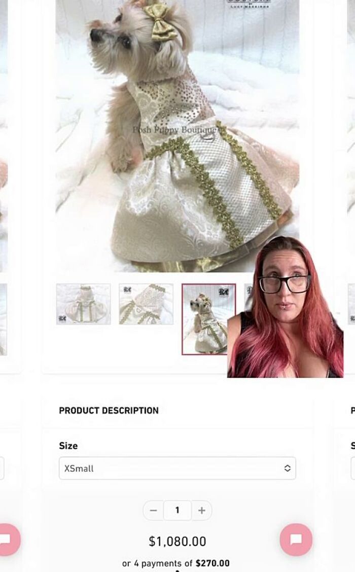 This Is A Dog Dress That Costs More Than My Wedding Dress. I'm Aware She Looks Cuter, That Is Not The Point