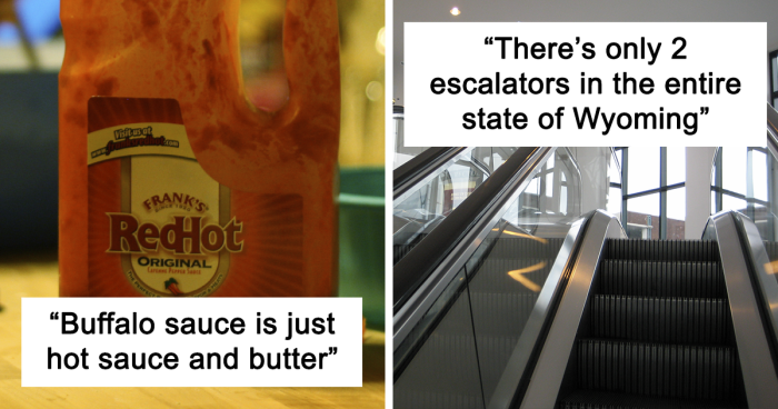 50 People Share Random Facts That They Were Shocked To Learn