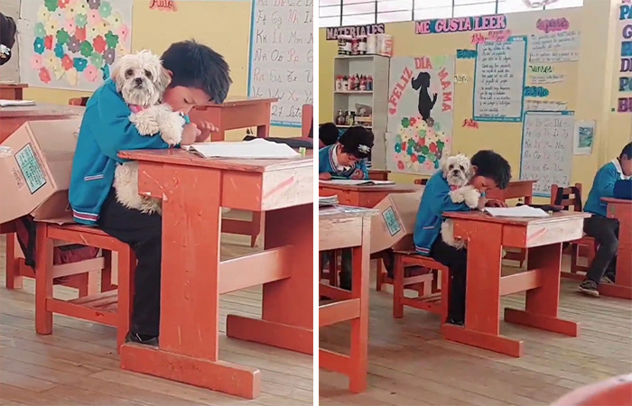 Student Going Through Hardships Asks Teacher If He Can Bring His Dog To School