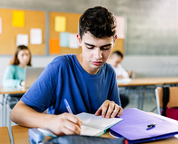 “This Drove Her Insane”: Teacher Can’t Penalize Student For Following Her Rule To A T