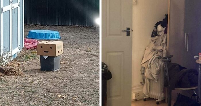 40 Funny Examples Of Regular Objects Suddenly Showing Human Characteristics