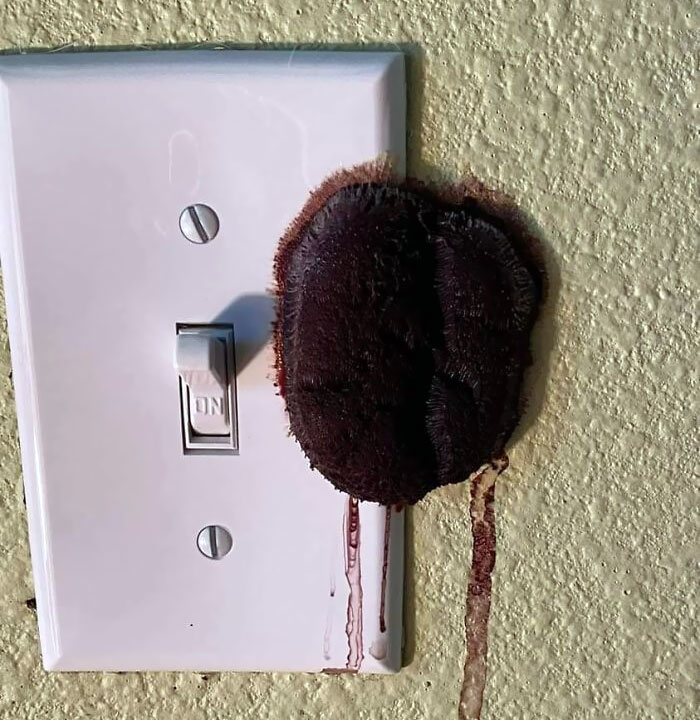 Found In A House In Eastern Oregon (High Desert Area). Described As “Oozing” When Touched