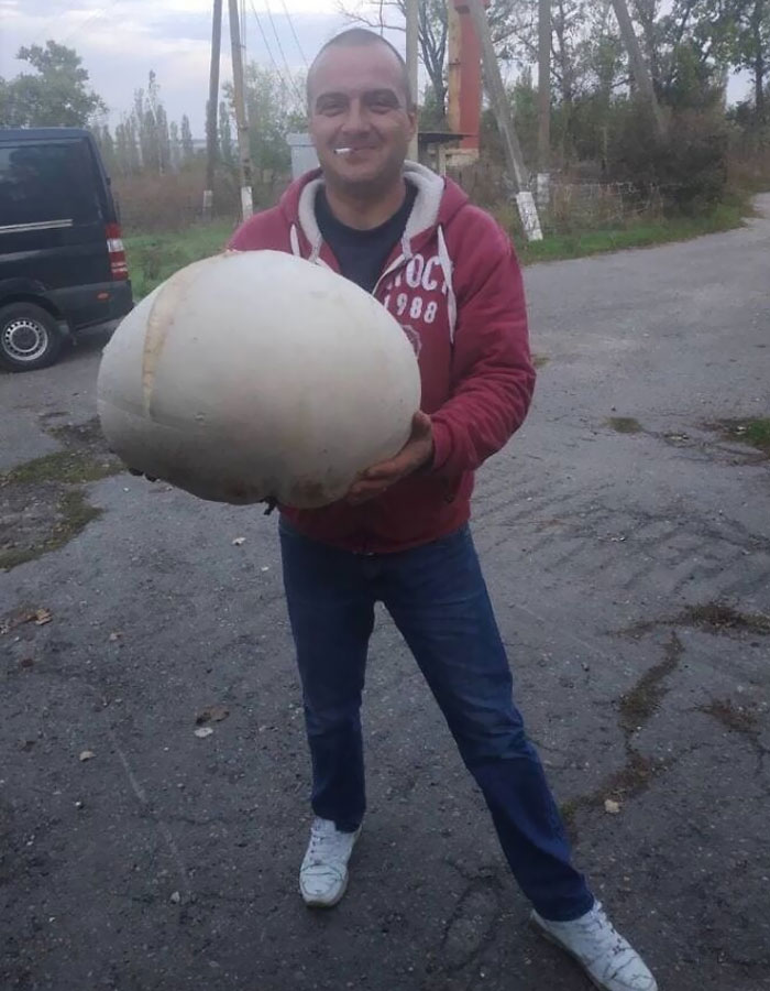 My Uncle Found A Huge Puffball Mushroom