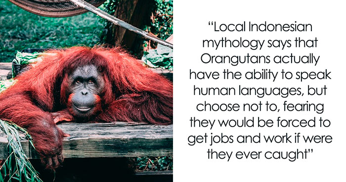 40 ‘Today I Learned’ Facts That Might Save You At The Next Trivia Night (New Pics)