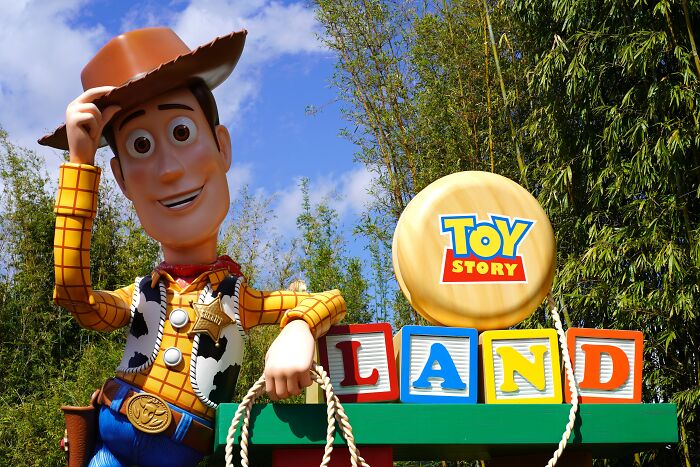 Woody in Disney Land