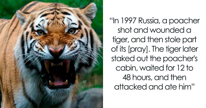 50 ‘Unbelievable Facts’ To Help You Ace Trivia Night (New Pics)