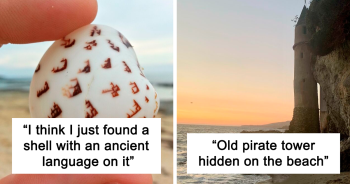 50 Of The Most Interesting Things People Ever Found On The Beach (New Pics)