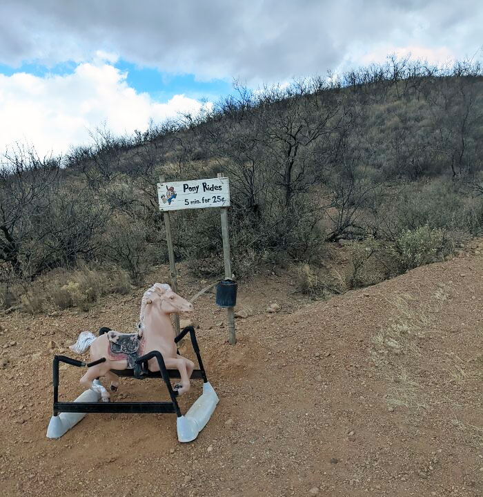 There's A Hobby Horse Off Of A Dirt Road In The Middle Of The Arizona Desert