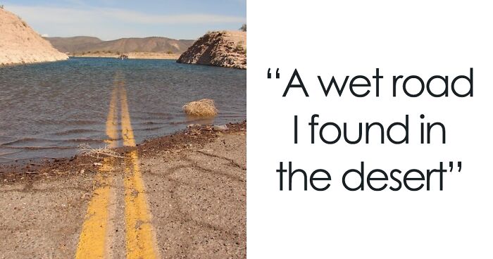 “Hotdog Stand”: 50 Unusual And Bizarre Discoveries That Stunned Desert Explorers