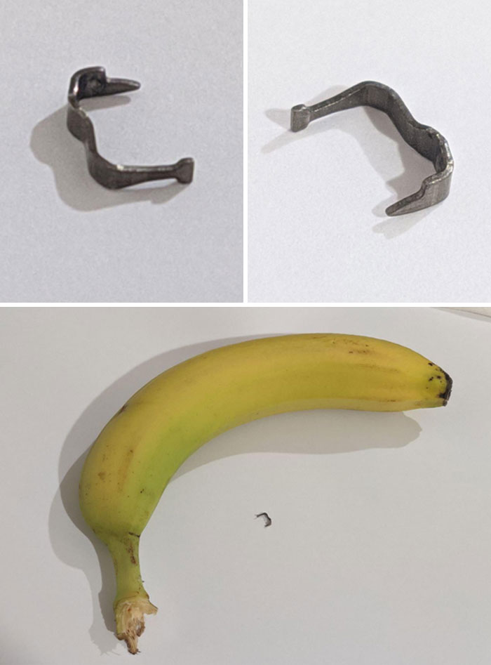 While Eating A Piece Of Lettuce, I Discovered This Metal Object That I Almost Swallowed, But Fortunately, I Didn’t. I’ve Included A Banana In The Photo For Scale Reference