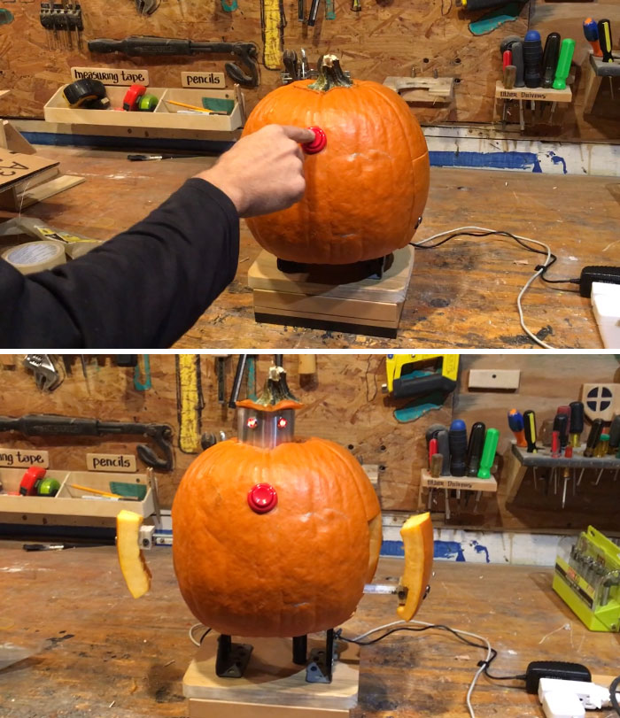 My Friend And I Made A Pumpkin Robot