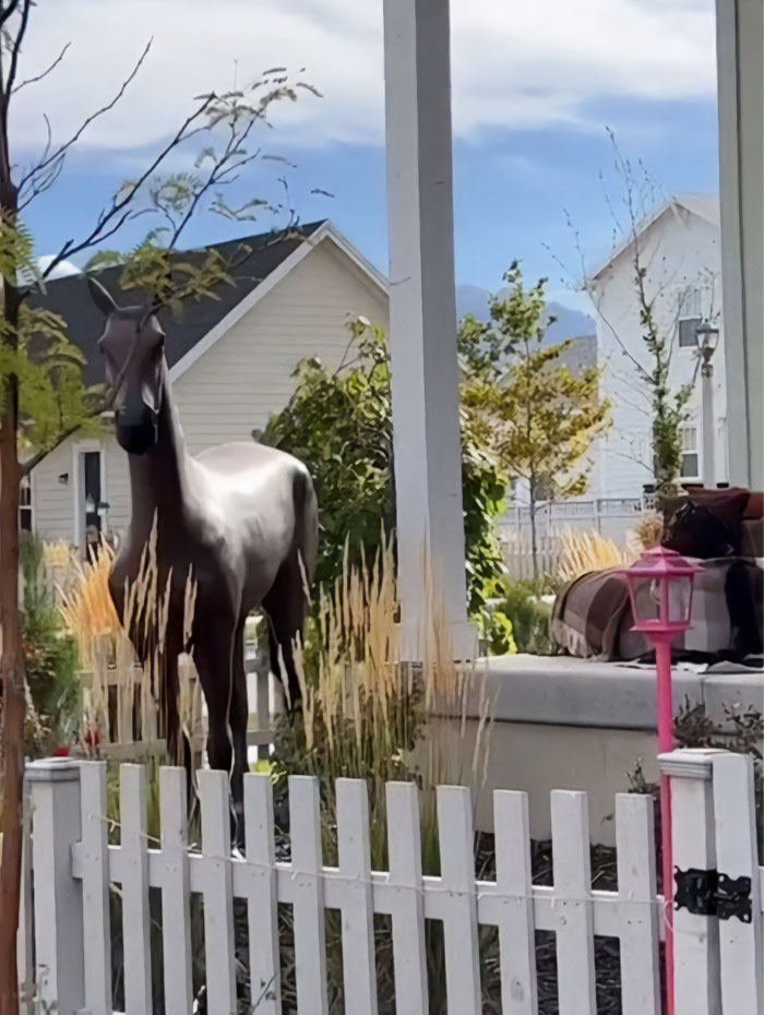 Utah Neighborhood Makes Barbie Fans Weep After Showing Its 'Barbieween' Decor Utah Neighborhood Makes Barbie Fans Weep After Showing Its 'Barbieween' Decor