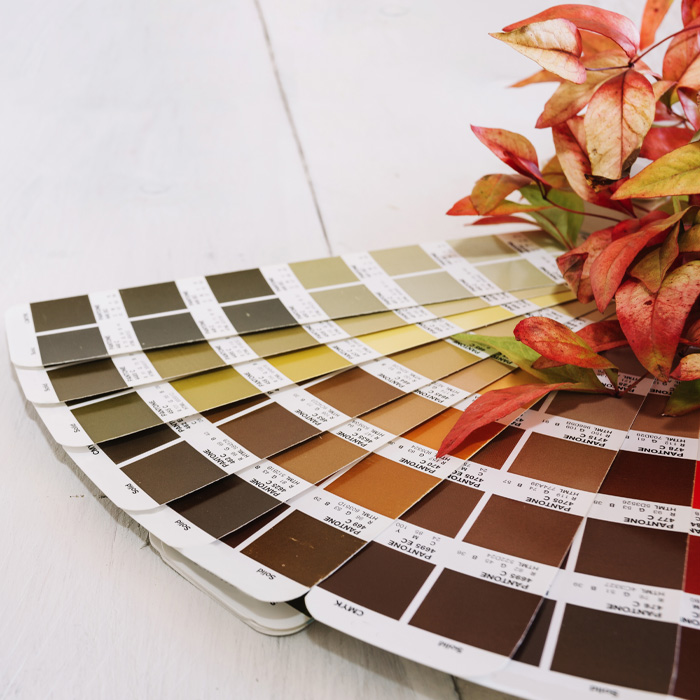 Warm colors palette fan with shades of brown, orange, and yellow displayed alongside autumn leaves for decor inspiration. Warm colors palette fan with shades of brown, orange, and yellow displayed alongside autumn leaves for decor inspiration.
