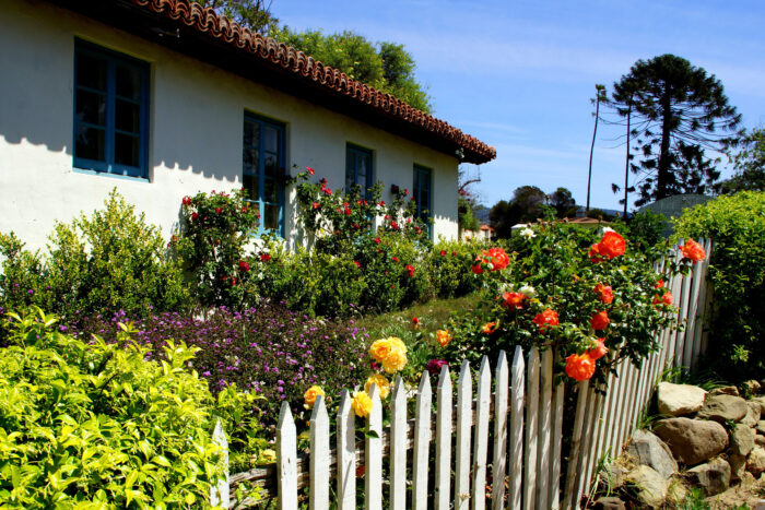 Flowers growing over a white picket fence