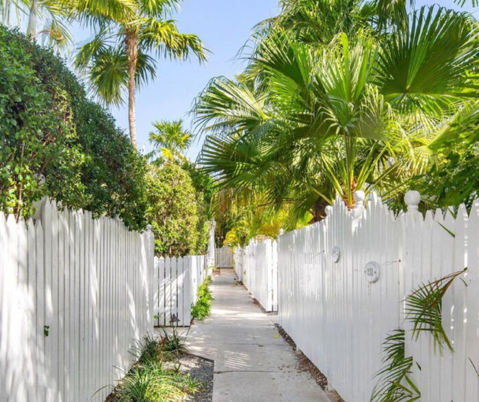 White picket fences in a row with palm trees 