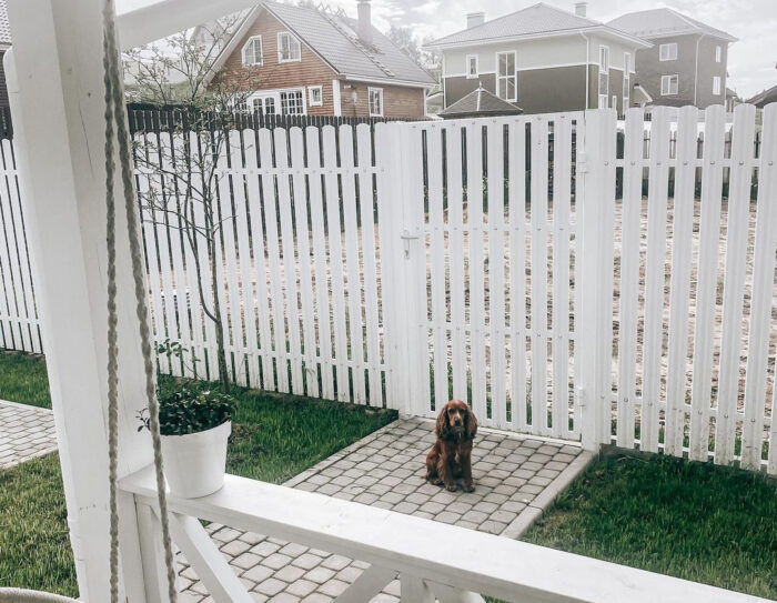 white-painted metal picket fence with a dog sitting in front of it
