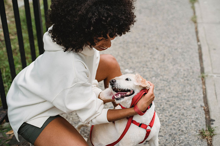 Cheerful black woman petting dog on street