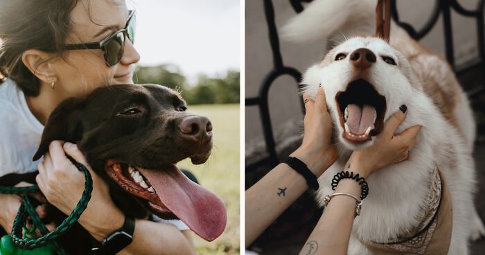 Why Dogs Like Being Pet: Insights from a Veterinary Technician