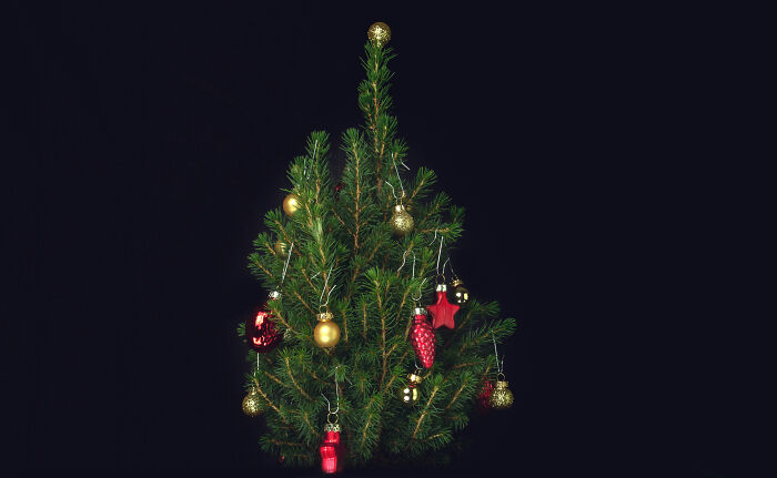 125 Winter Trivia Questions To Last You Through The Season