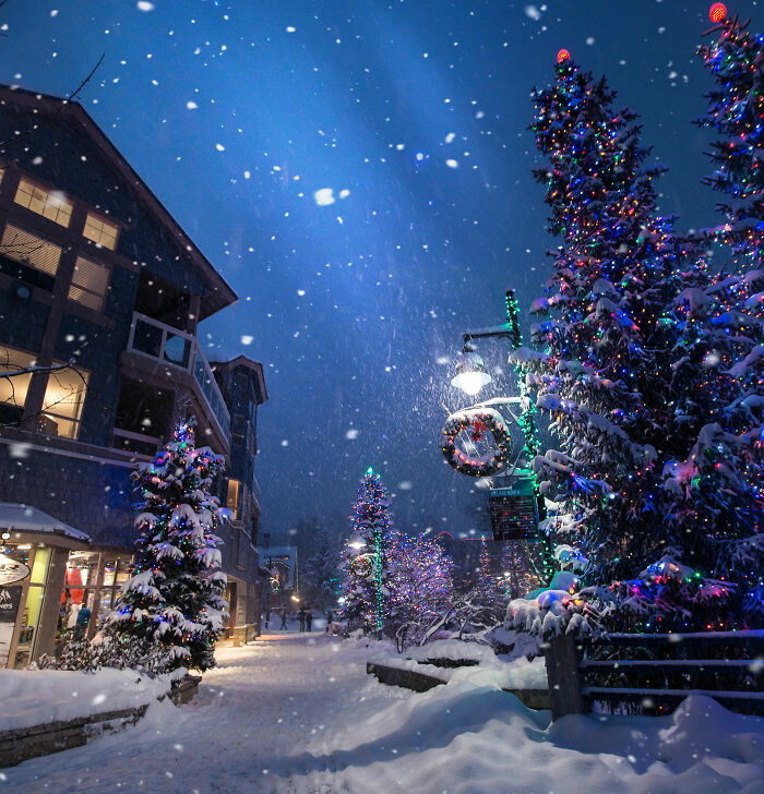 125 Winter Trivia Questions To Last You Through The Season