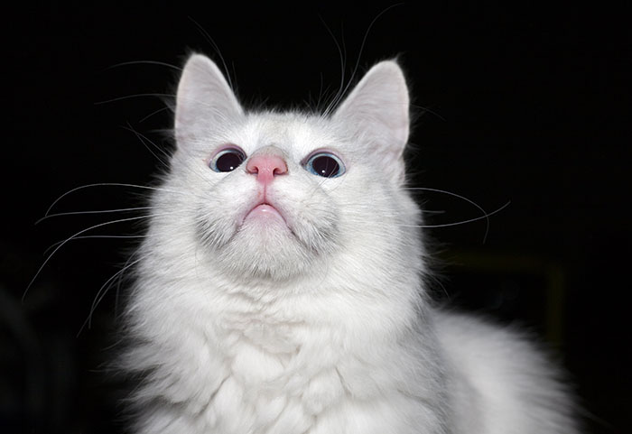 30 Times People Were Disgusted Or Horrified By Something Done In The Kitchen, As Shared Online