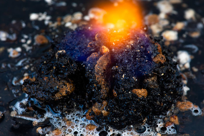 30 Times People Were Disgusted Or Horrified By Something Done In The Kitchen, As Shared Online