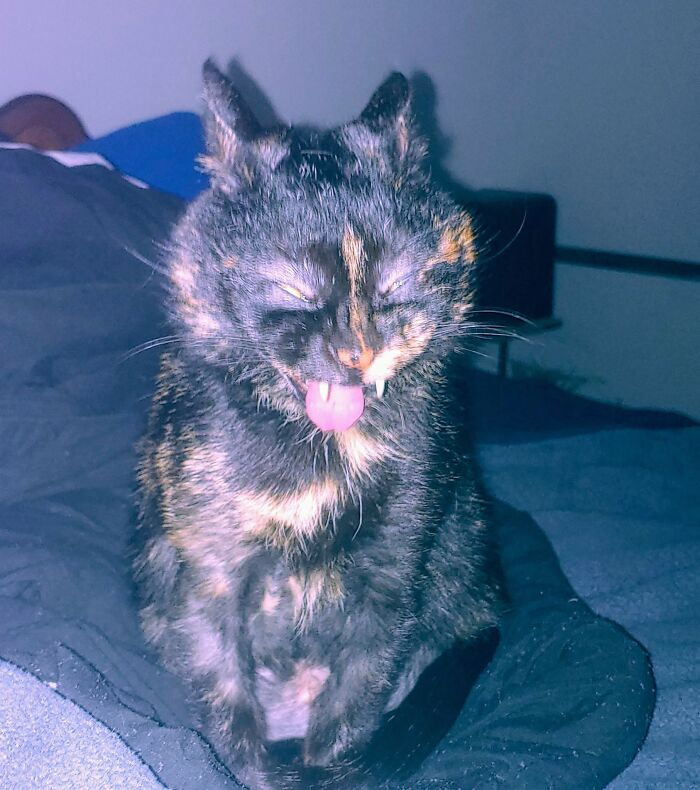 I Suspected Cinder Was A Demon. Finally Got Proof When I Got A Shot Of Her Mid Transformation