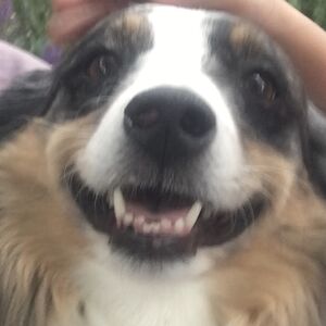 kyleworthen827 avatar