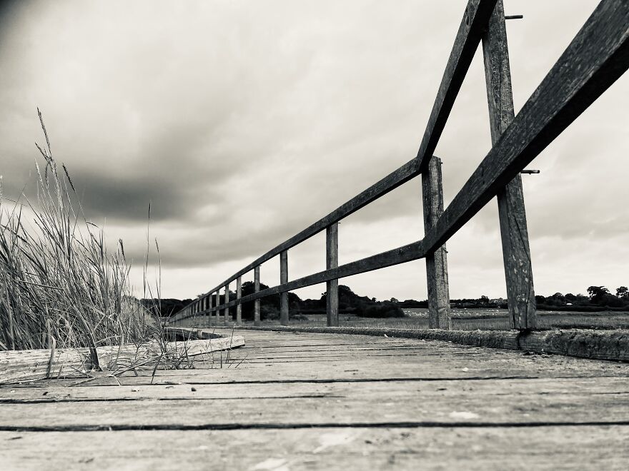 My Phone Photography Tips (33 Pics) My Phone Photography Tips (33 Pics)