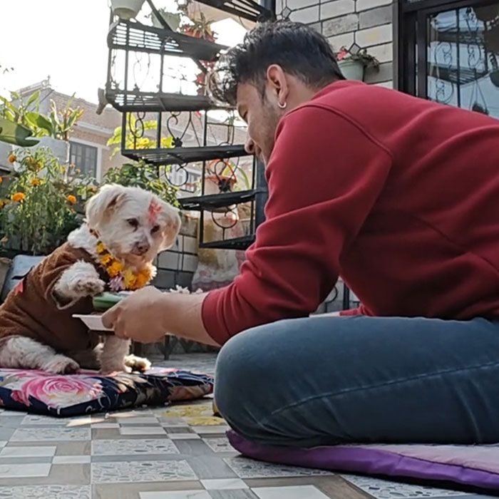 In This Annual Nepalese Festival, Dogs Get Pampered For Being God’s Messengers In This Annual Nepalese Festival, Dogs Get Pampered For Being God’s Messengers