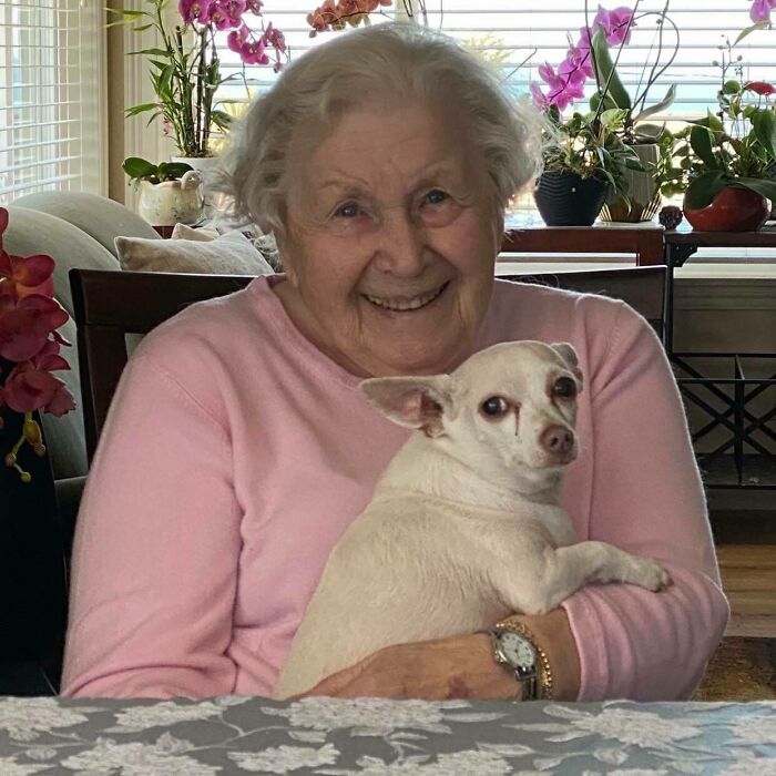 "Gucci trajo alegría a la casa": Una mujer de 100 años adopta a un perro de 11 años que nadie quería