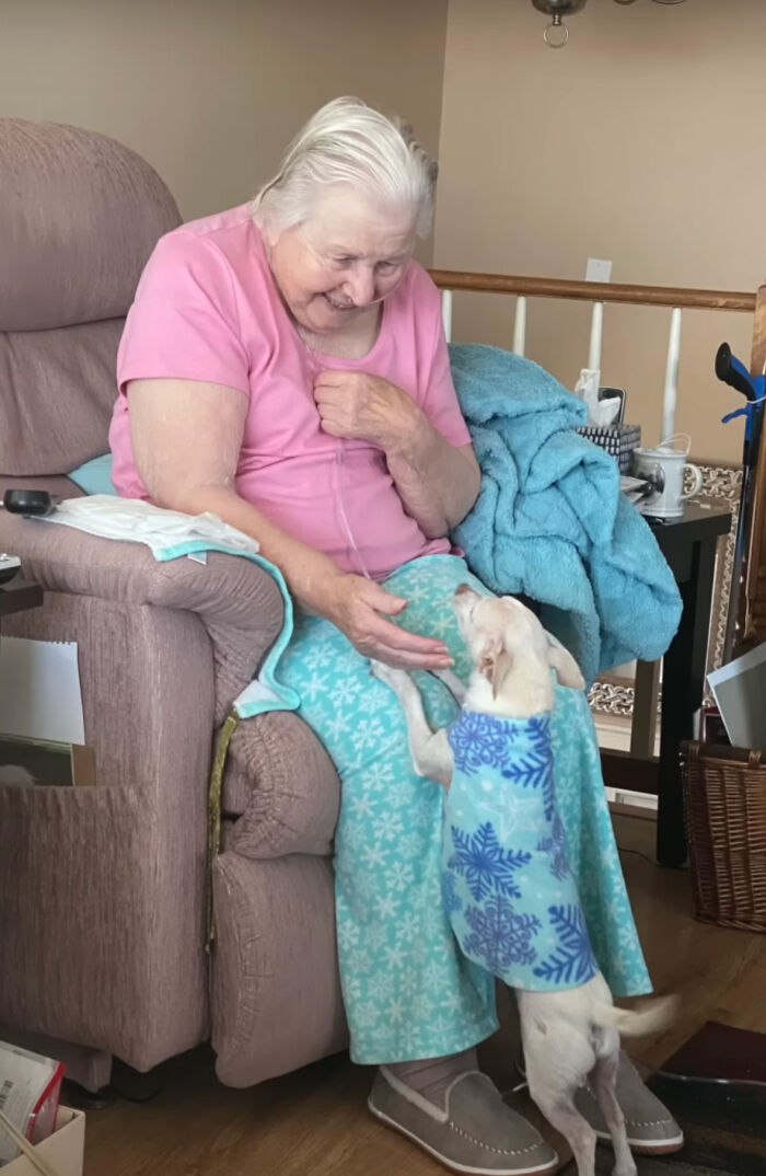 "Gucci trajo alegría a la casa": Una mujer de 100 años adopta a un perro de 11 años que nadie quería