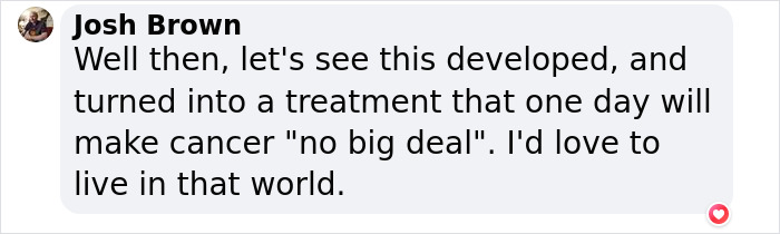 “Science Wins Again”: Scientists Find Groundbreaking “Switch” That Can Kill Off Cancer Cells “Science Wins Again”: Scientists Find Groundbreaking “Switch” That Can Kill Off Cancer Cells