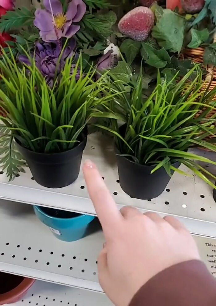 Woman Flabbergasted At Goodwill Prices, Calls Them Out By Sharing Real Examples Woman Flabbergasted At Goodwill Prices, Calls Them Out By Sharing Real Examples