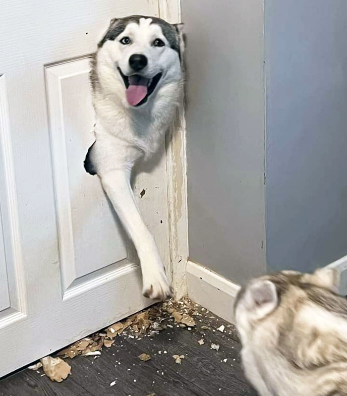 Just Walking Through A Door