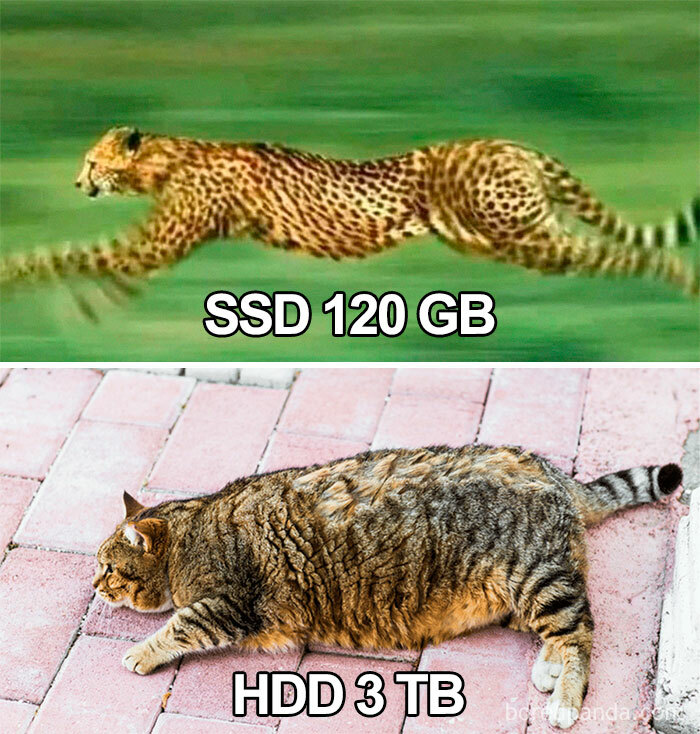 Ssd vs. Hdd