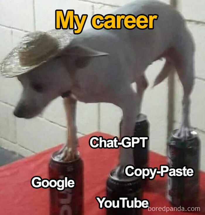 My Career