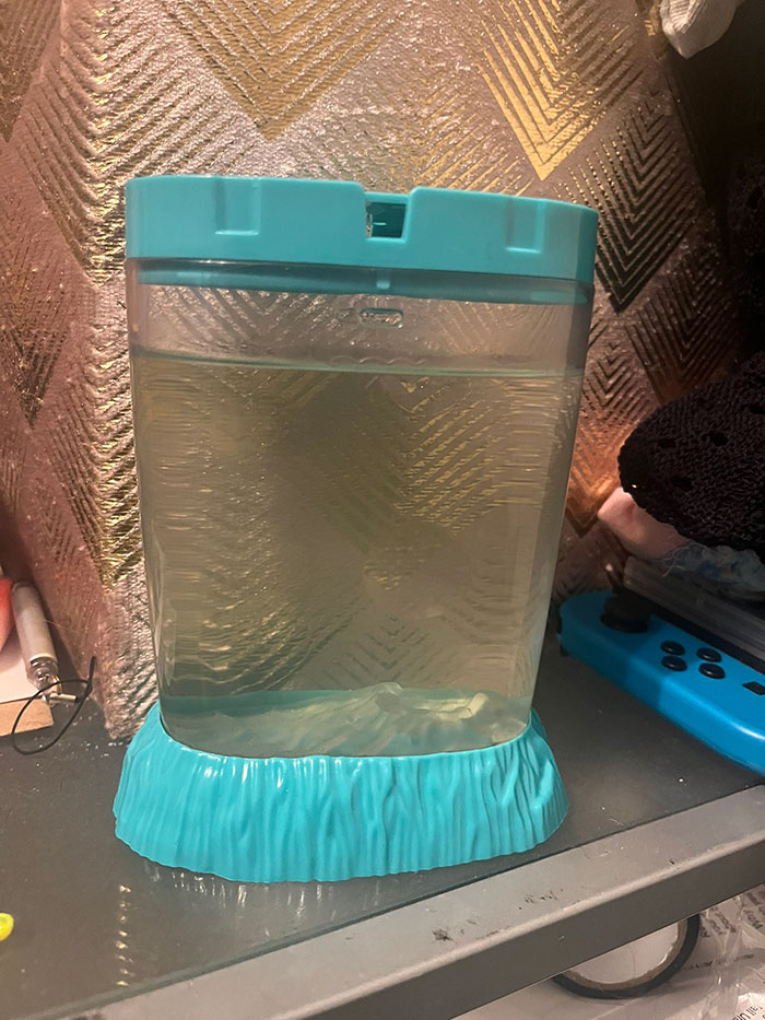 The Dark Truth Behind Childhood Staple Sea Monkeys Emerges Online The Dark Truth Behind Childhood Staple Sea Monkeys Emerges Online