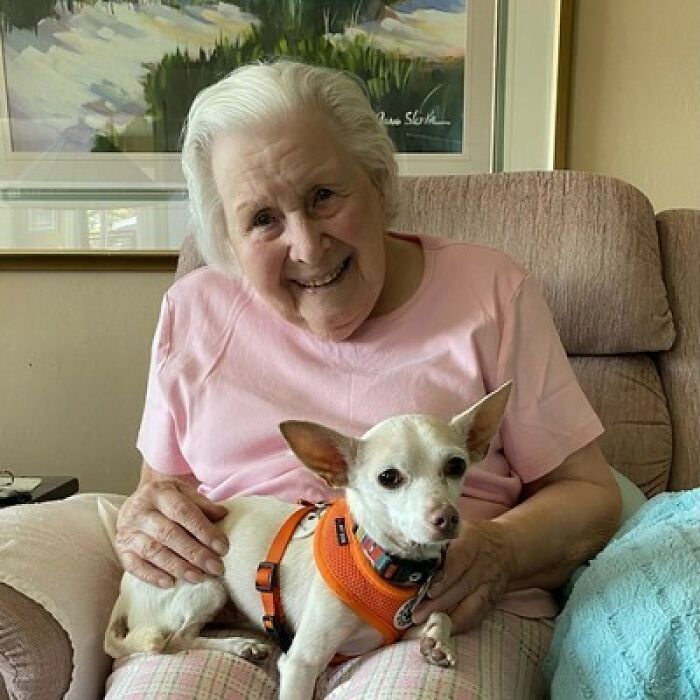 “Gucci Brought Joy Into The House”: Unwanted 11 Y.O. Dog Adopted By 100 Y.O. Woman