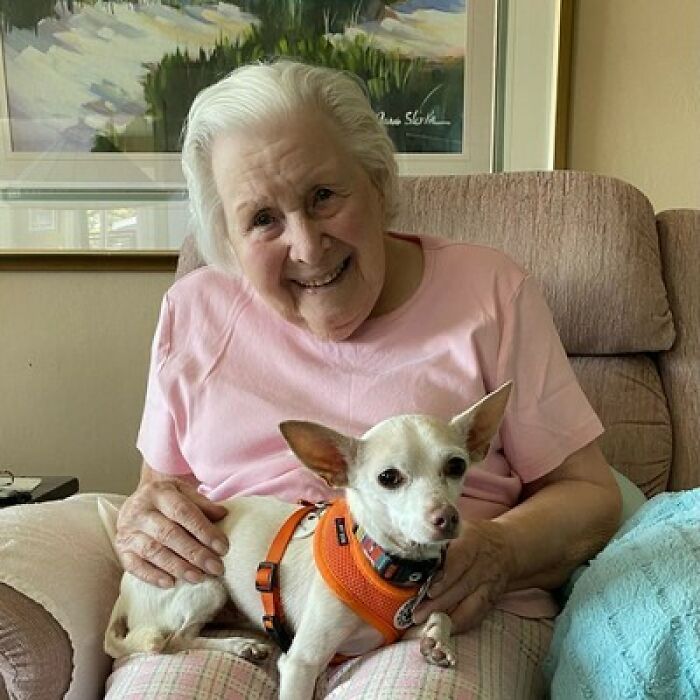 "Gucci trajo alegría a la casa": Una mujer de 100 años adopta a un perro de 11 años que nadie quería