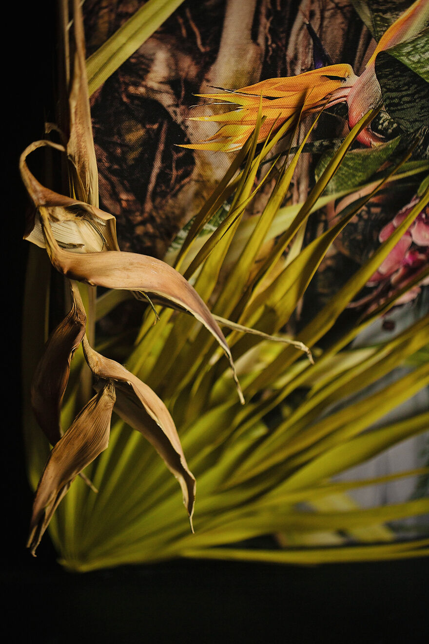 Love Speaks: The Cycle Of 12 Works Love Speaks: The Cycle Of 12 Works