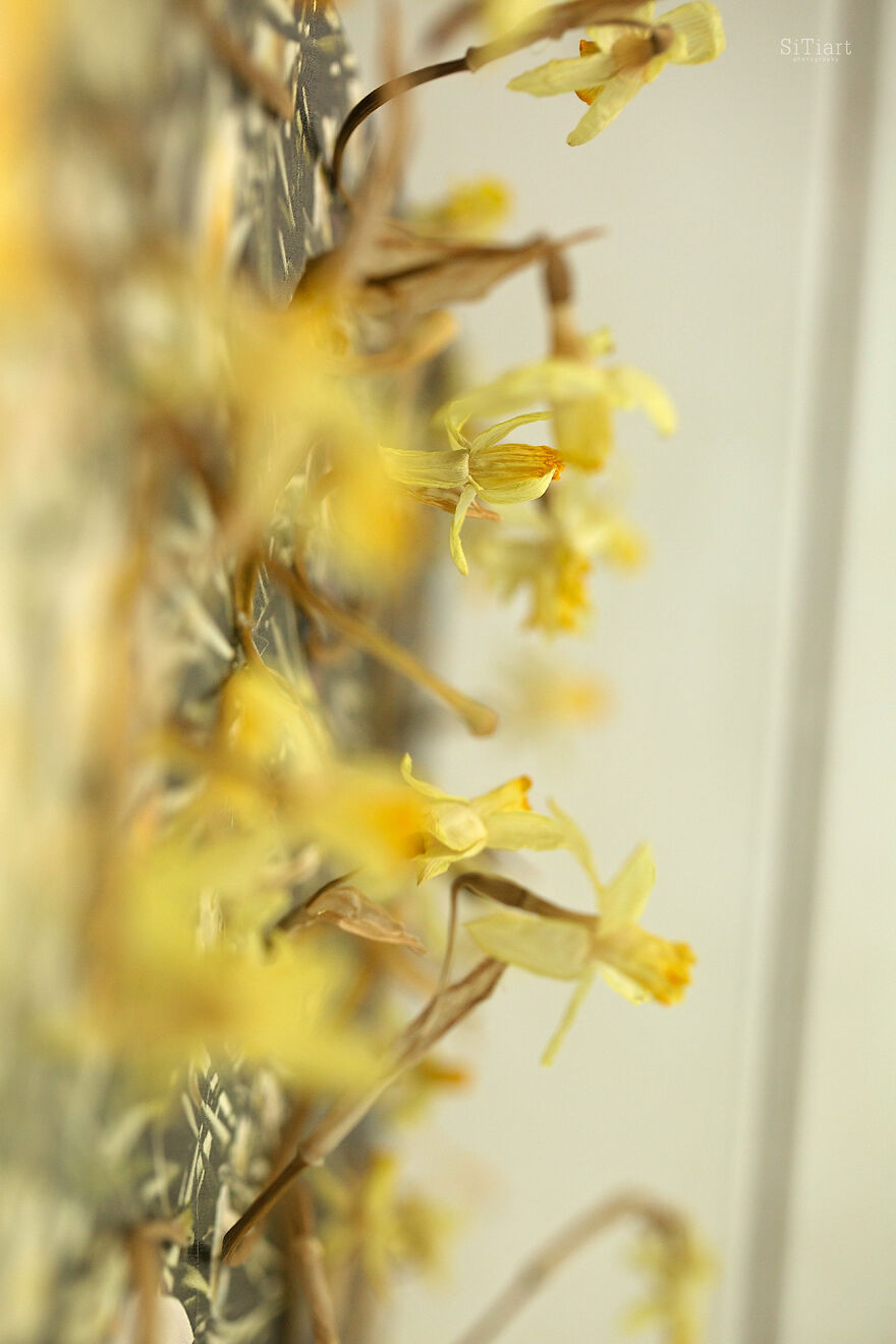 Love Speaks: The Cycle Of 12 Works Love Speaks: The Cycle Of 12 Works